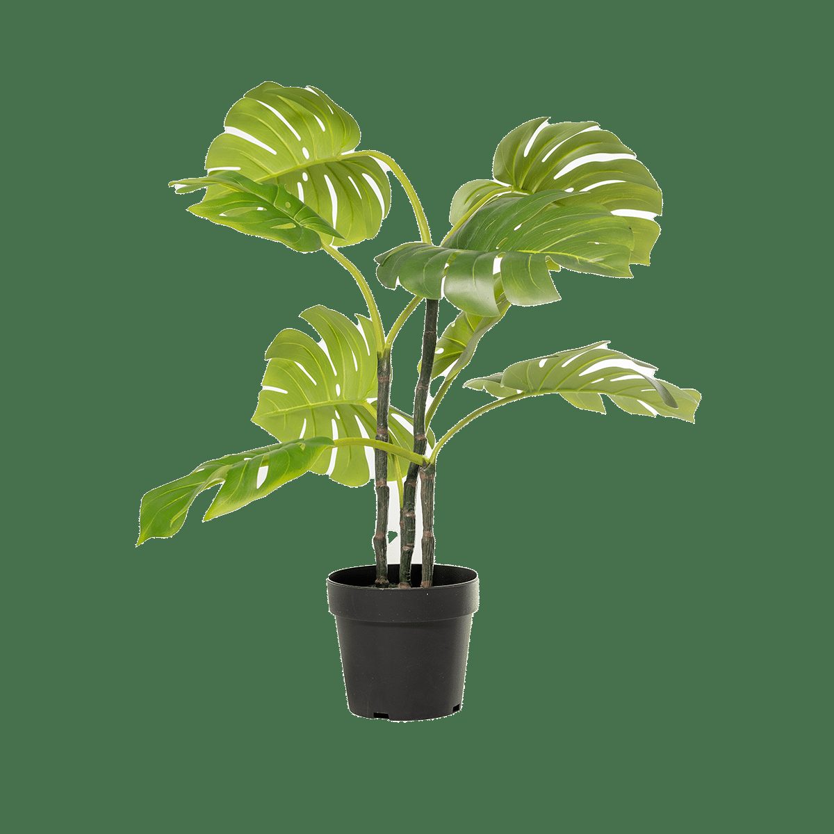 Planta Artificial - Monstera