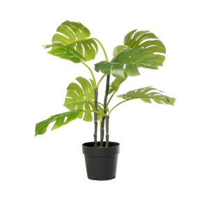 Planta Artificial – Monstera