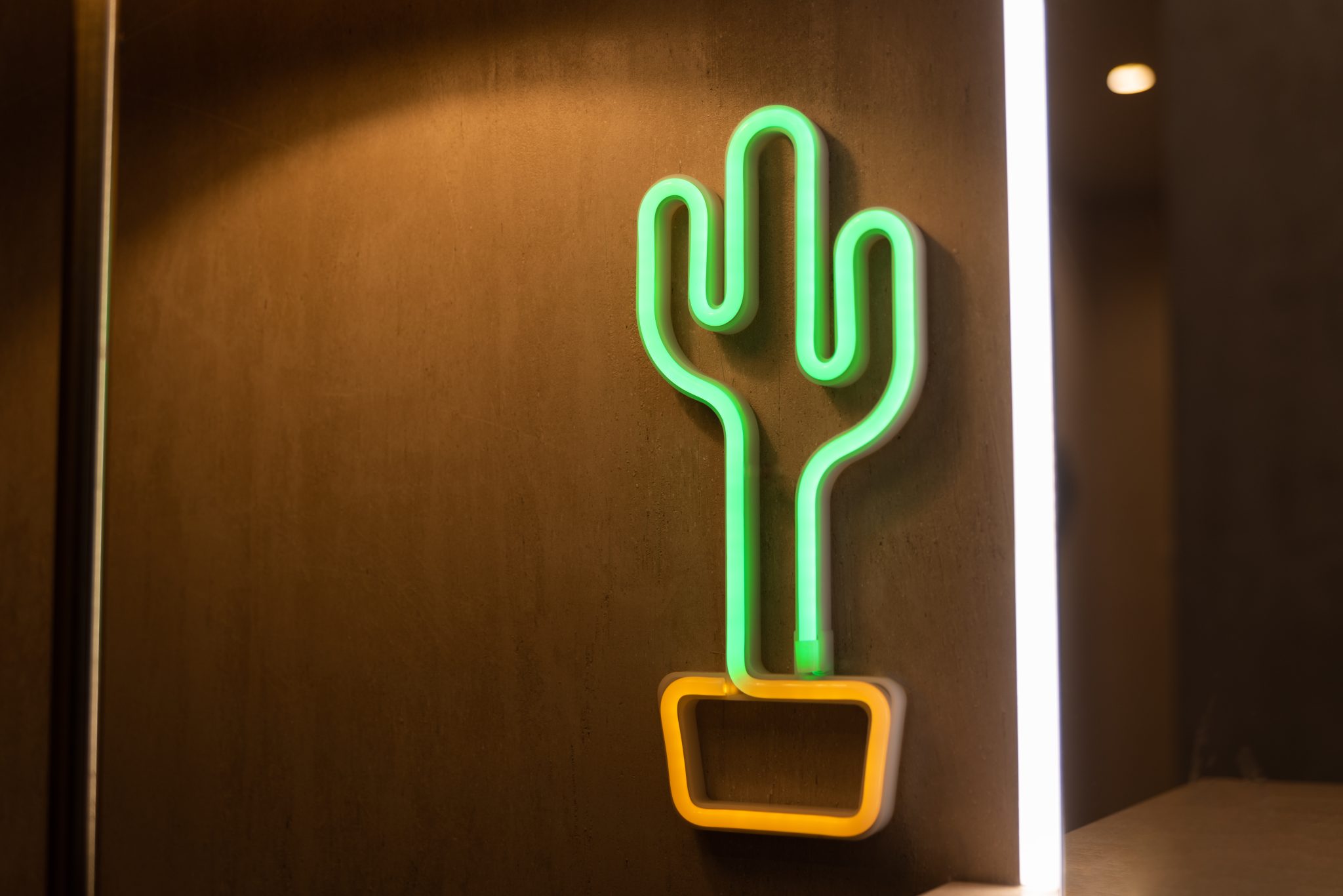 Neón de cactus en el estudio